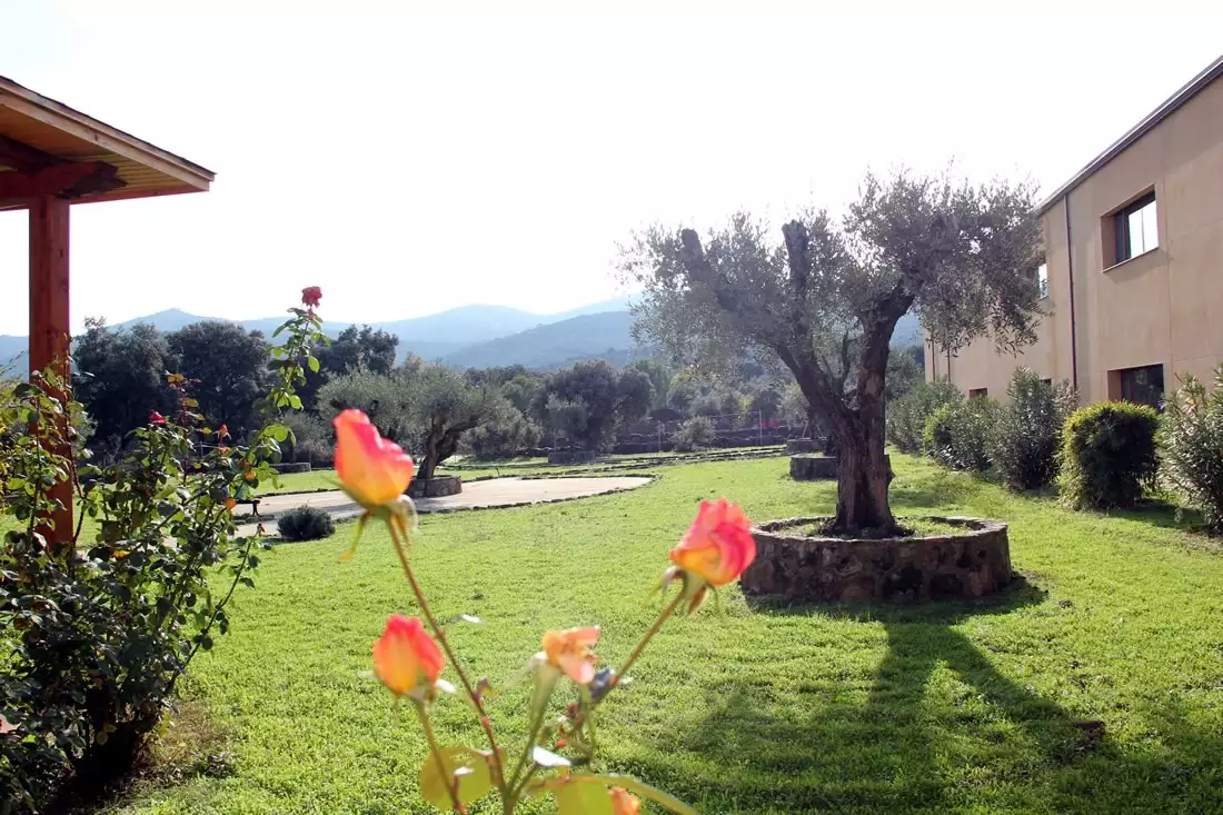 Residencia de Mayores El Olivar en Ávila cera de Madrid y Talavera de la Reina