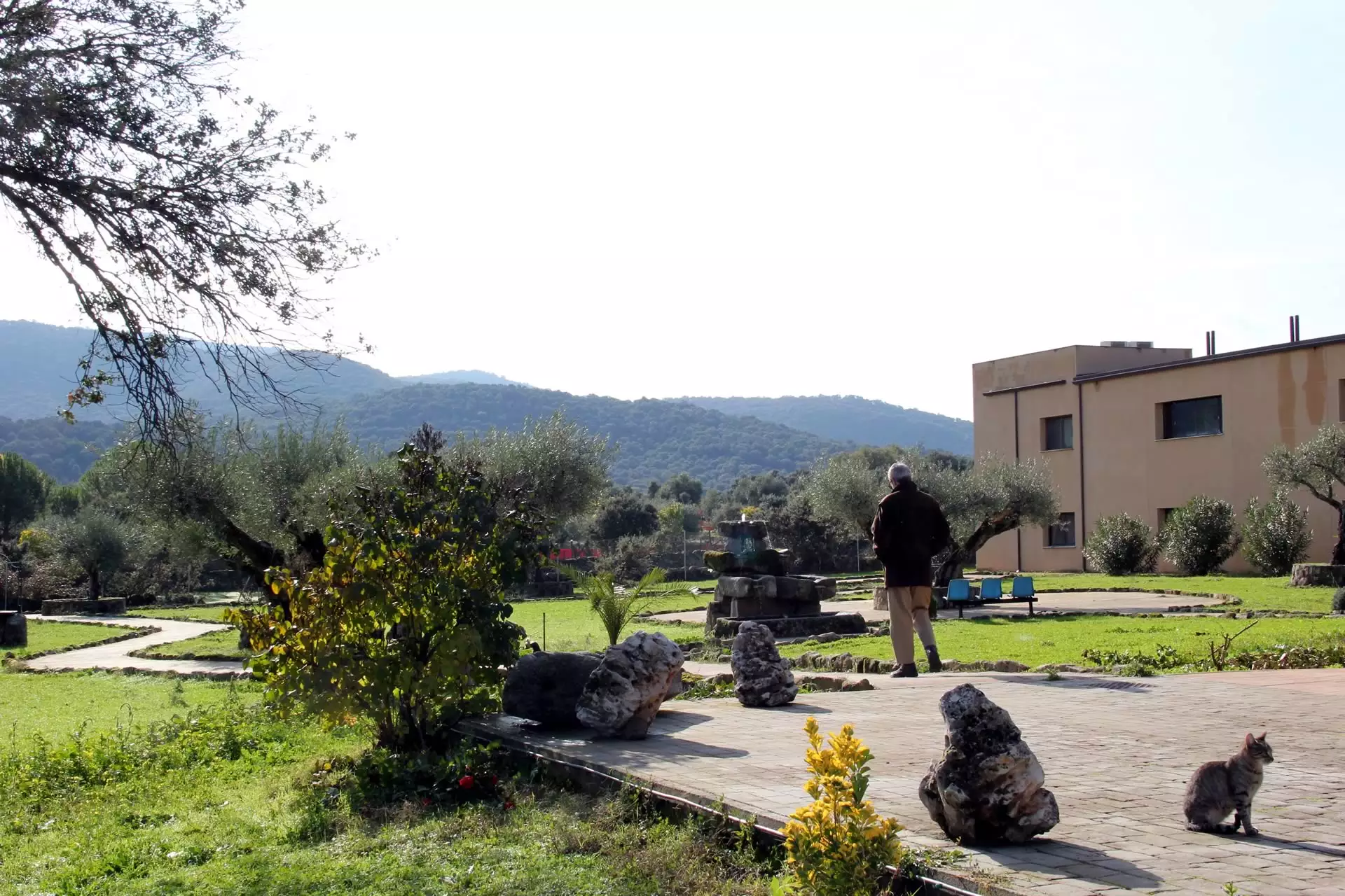 Residencia de Mayores El Olivar entre la sierra de Gredos y la sierra de San Vicente